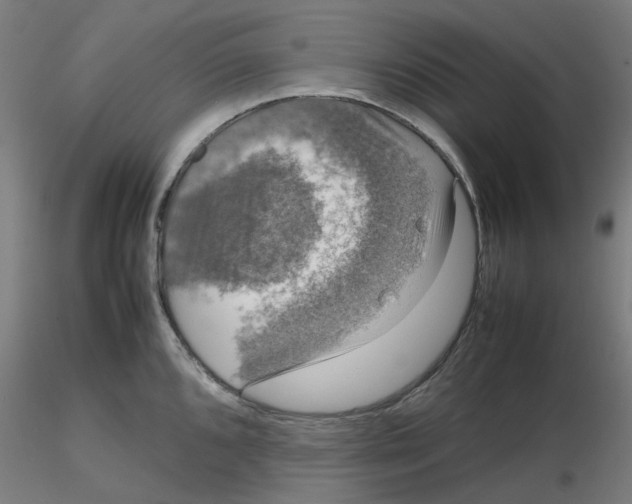 X0000116101096200912211606