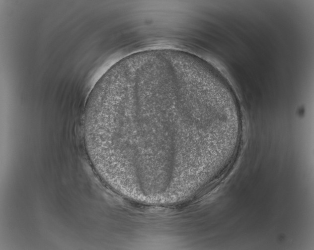 X0000116101097200912211606