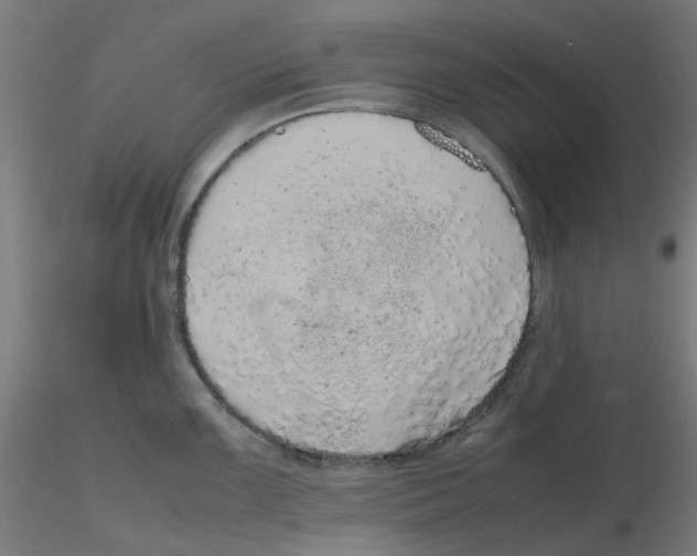 X0000116101099200912211606