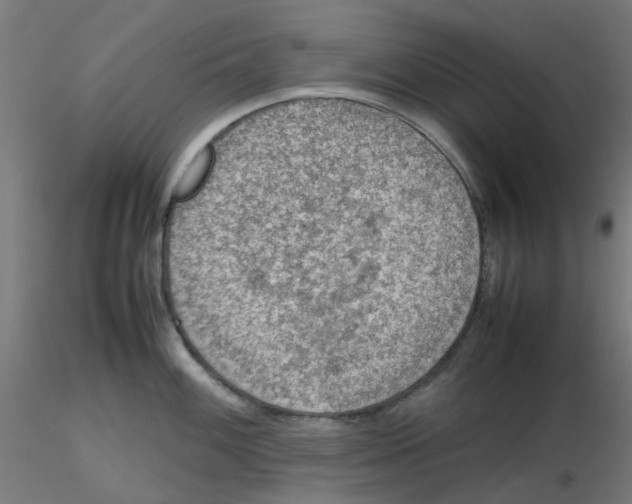 X0000116101100200912211606