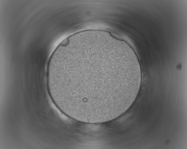 X0000116101103200912211606