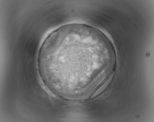 X0000116101104200912211606