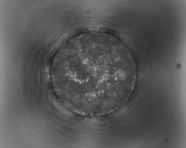 X0000116101106200912211605