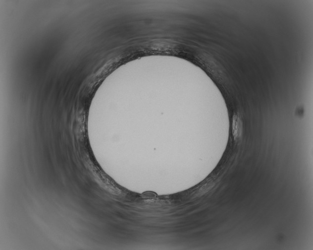 X0000116101107200912211605