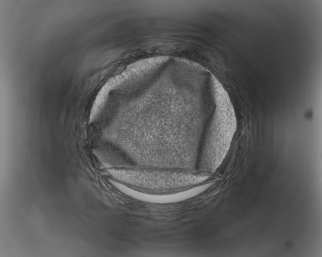 X0000116101109200912211605