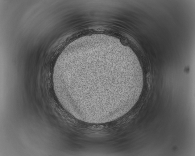 X0000116101111200912211605