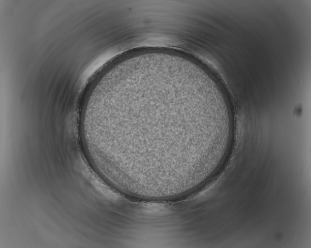 X0000116101114200912211605