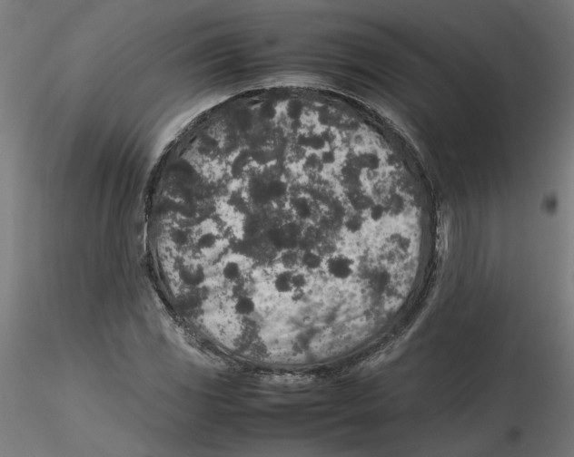 X0000116101117200912211605