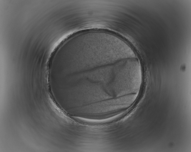 X0000116101118200912211605