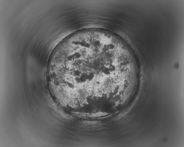 X0000116101121200912211606