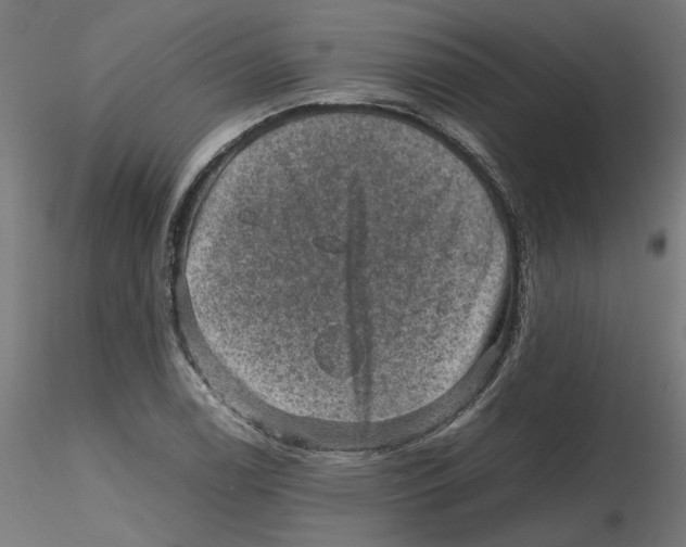 X0000116101122200912211606