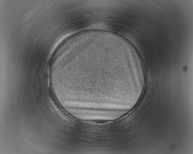 X0000116101123200912211606