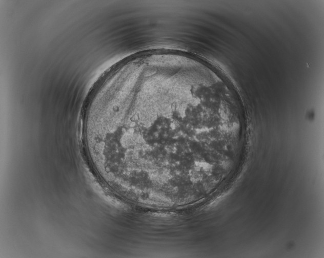 X0000116101125200912211606