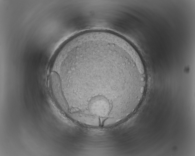 X0000116101126200912211606