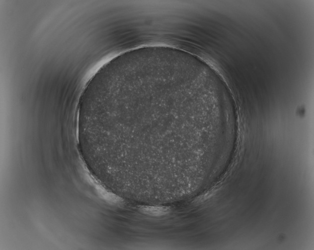 X0000116101127200912211606