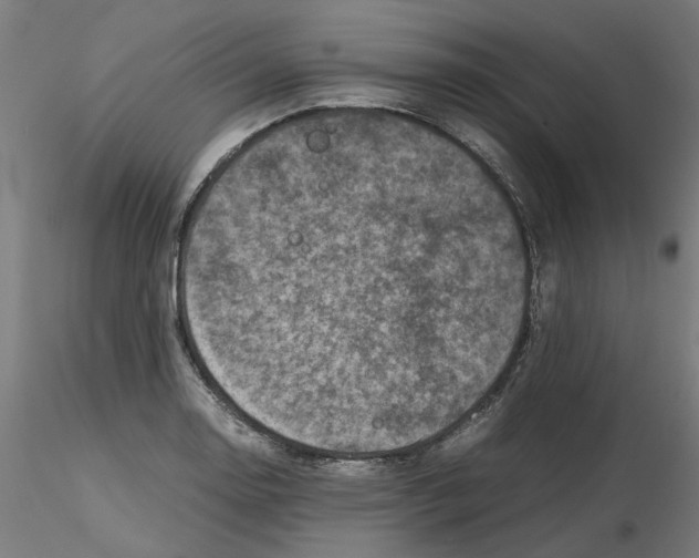 X0000116101130200912211606