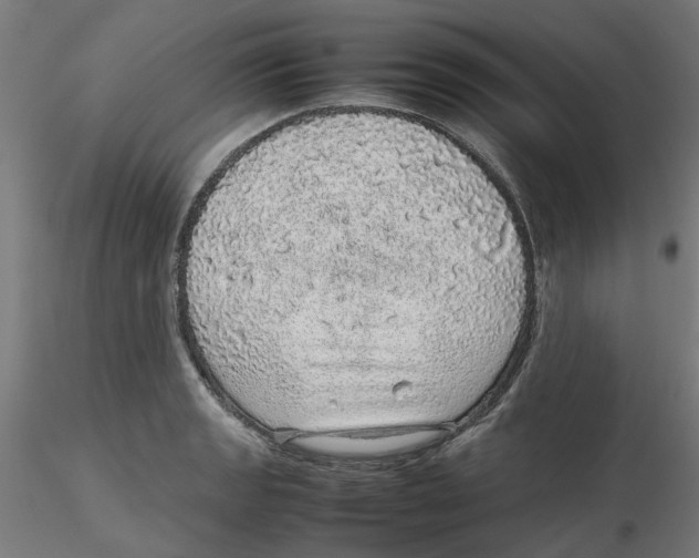 X0000116101133200912211606