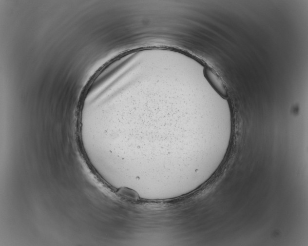 X0000116101134200912211606