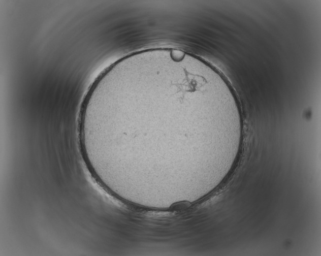 X0000116101135200912211606