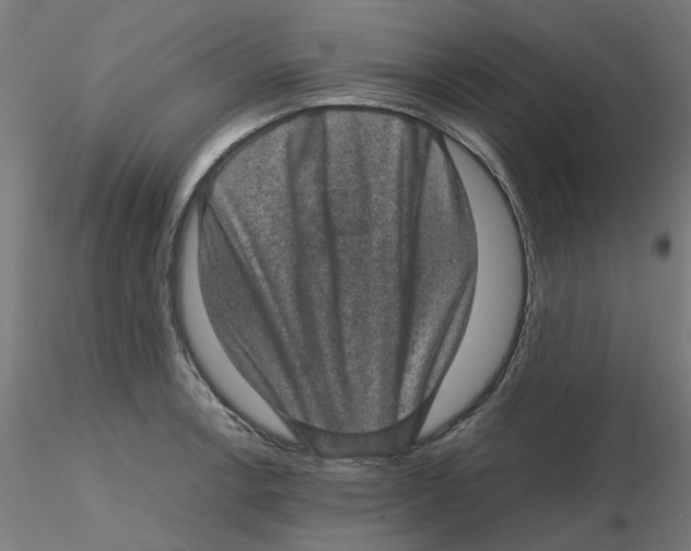 X0000116101138200912211606