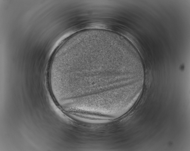 X0000116101139200912211606