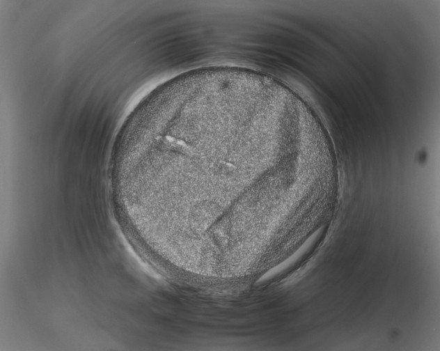 X0000116101141200912211606