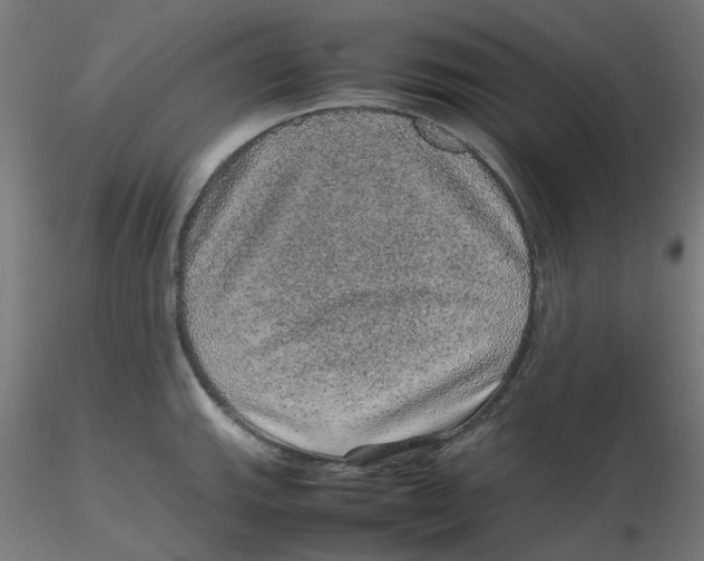 X0000116101143200912211606