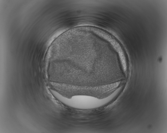 X0000116101145200912211606