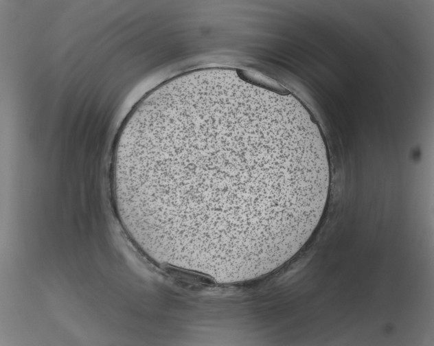 X0000116101146200912211606