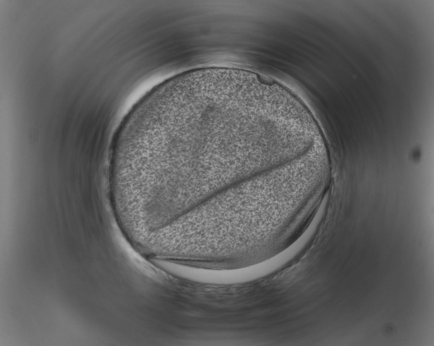 X0000116101147200912211606