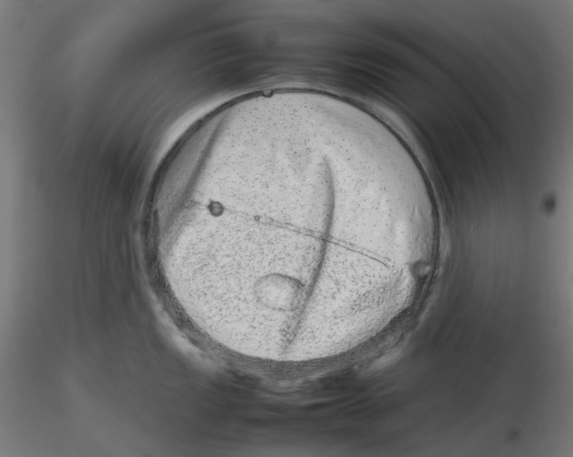 X0000116101149200912211606