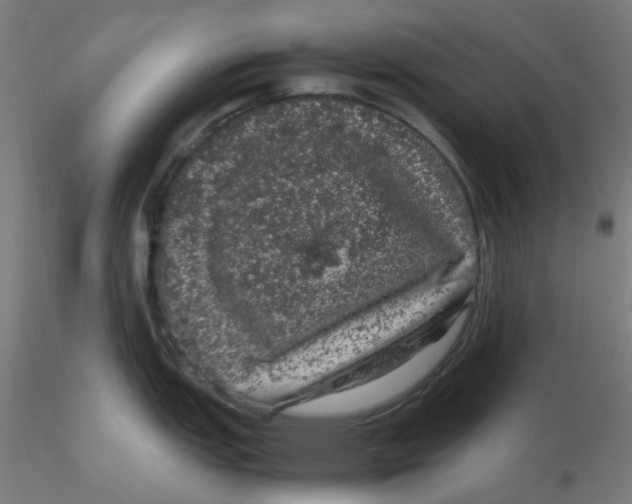 X0000116101151200912211606