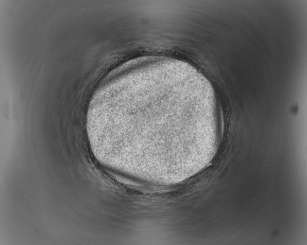 X0000116101153200912211605