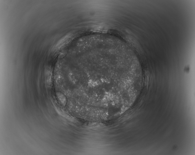 X0000116101154200912211605