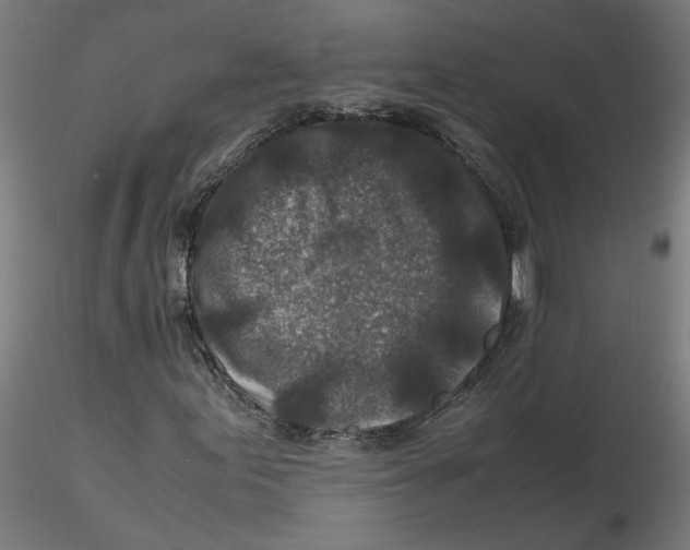 X0000116101155200912211605