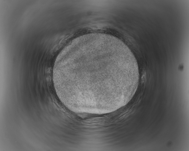 X0000116101156200912211605