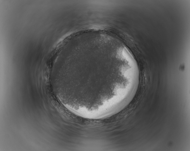 X0000116101158200912211605