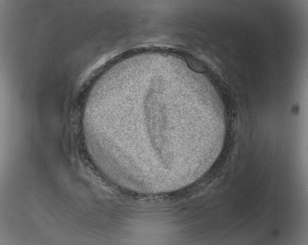 X0000116101159200912211605