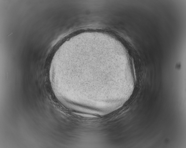 X0000116101160200912211605