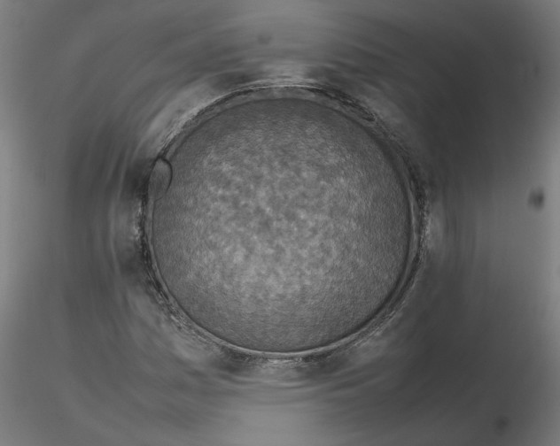 X0000116101161200912211605