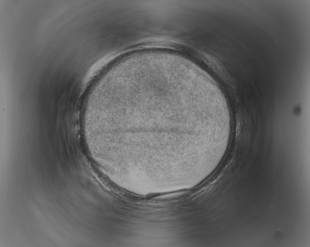 X0000116101164200912211605