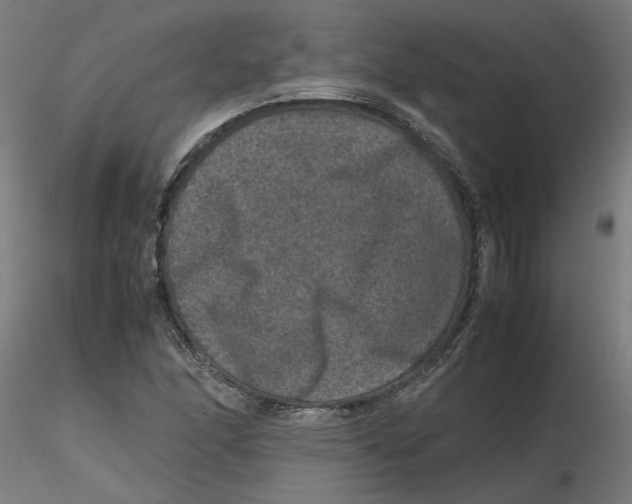 X0000116101166200912211605