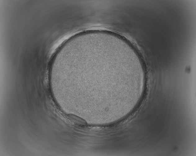 X0000116101167200912211605