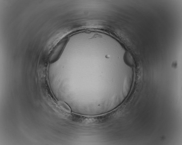 X0000116101169200912211605