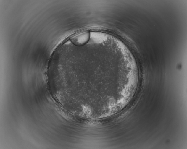 X0000116101170200912211605