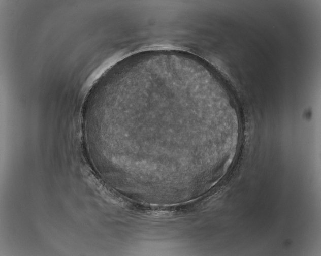 X0000116101173200912211605