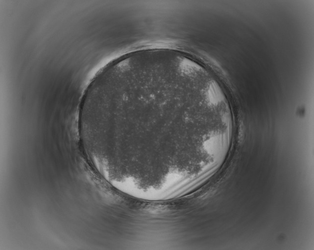 X0000116101174200912211605