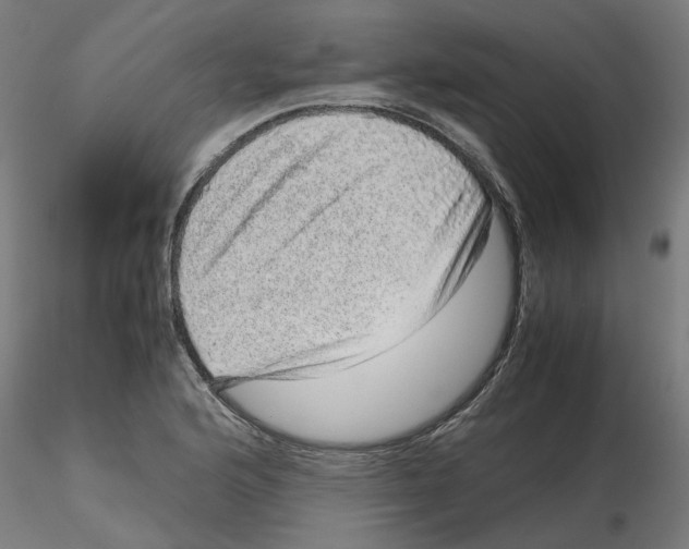 X0000116101176200912211605