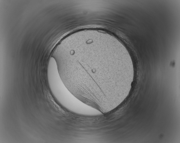 X0000116101177200912211605