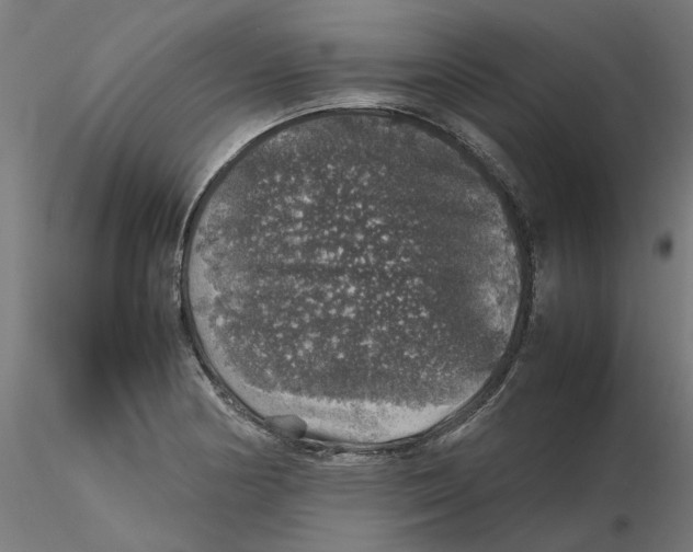 X0000116101178200912211605